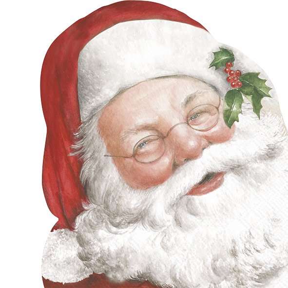 Napkin Lunch Friendly Santa