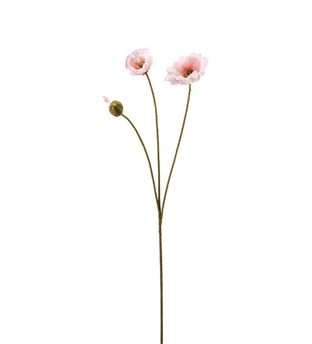 Valmue lys rosa 75 cm