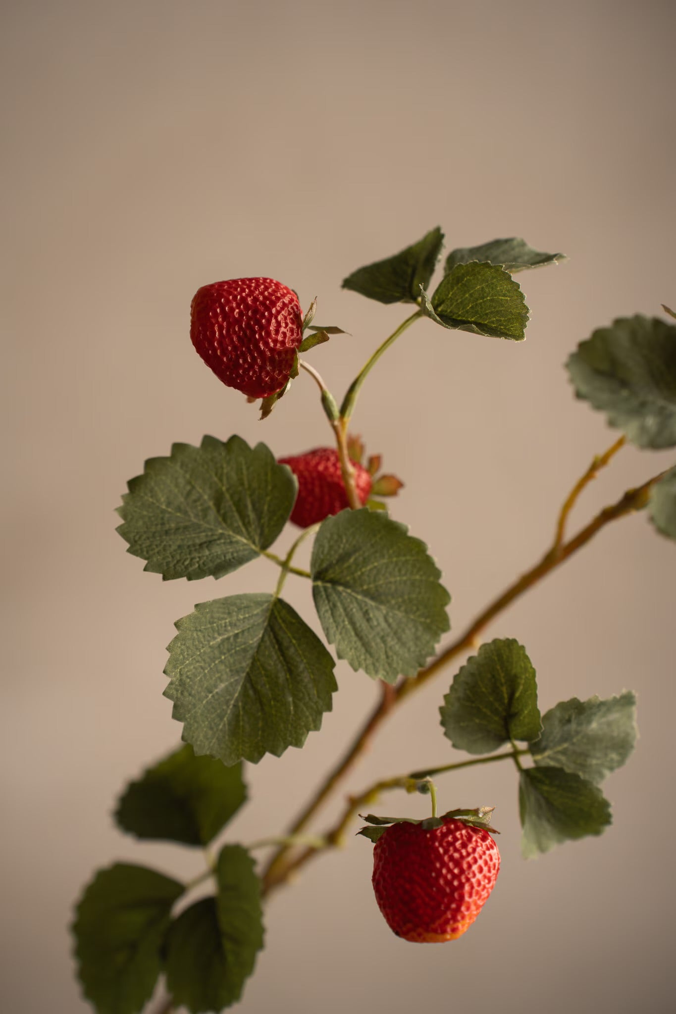 Strawberry spray 70 cm