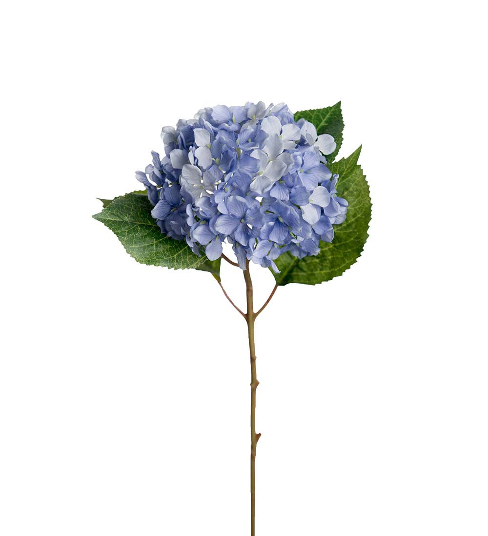 Hydrangea blue 40 cm