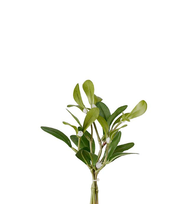 Mistletoe green 18 cm