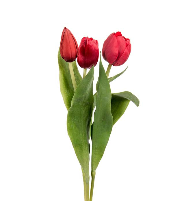 Tulipan rød mix 36 cm