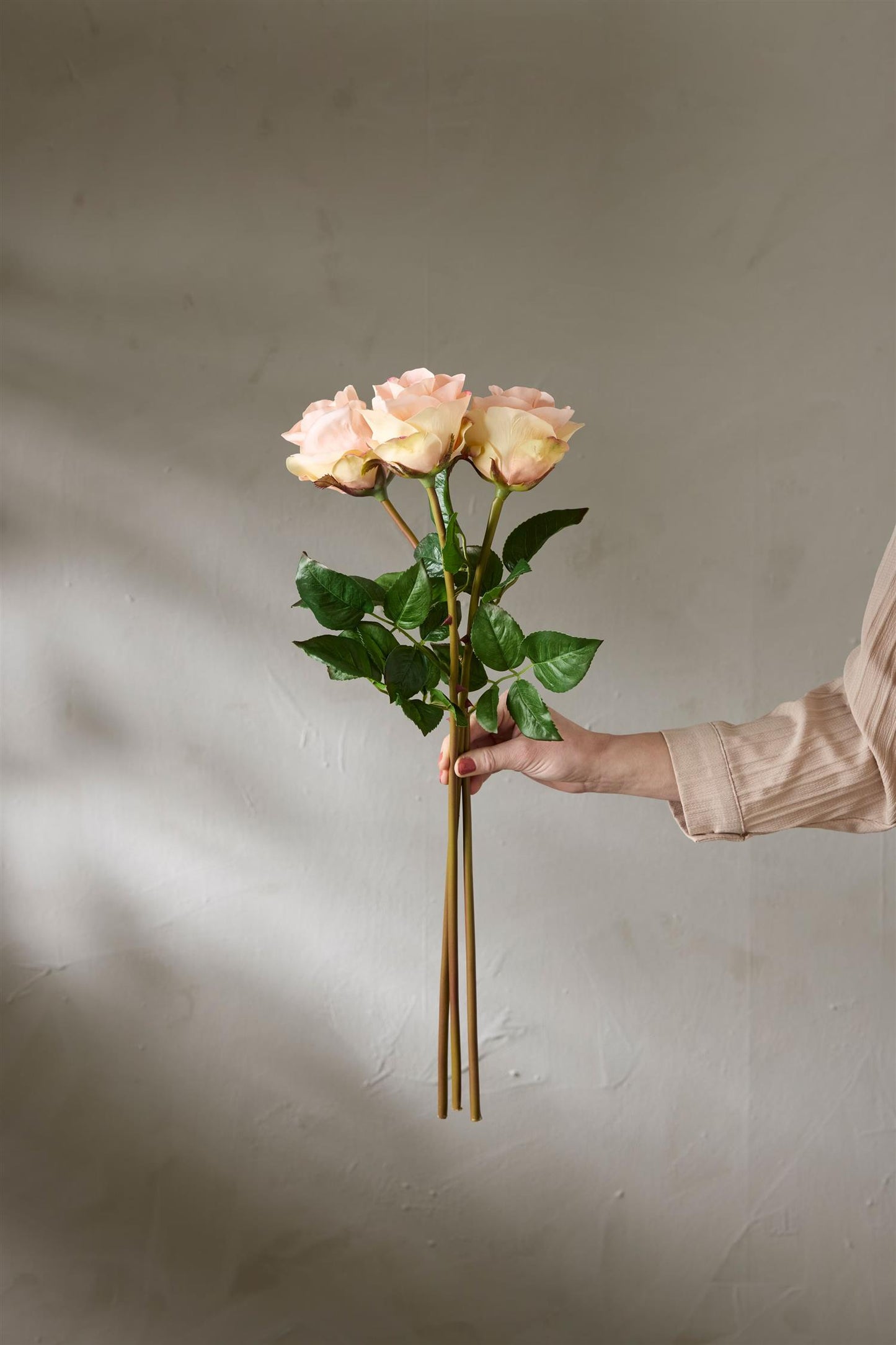 Rose apricot 65 cm
