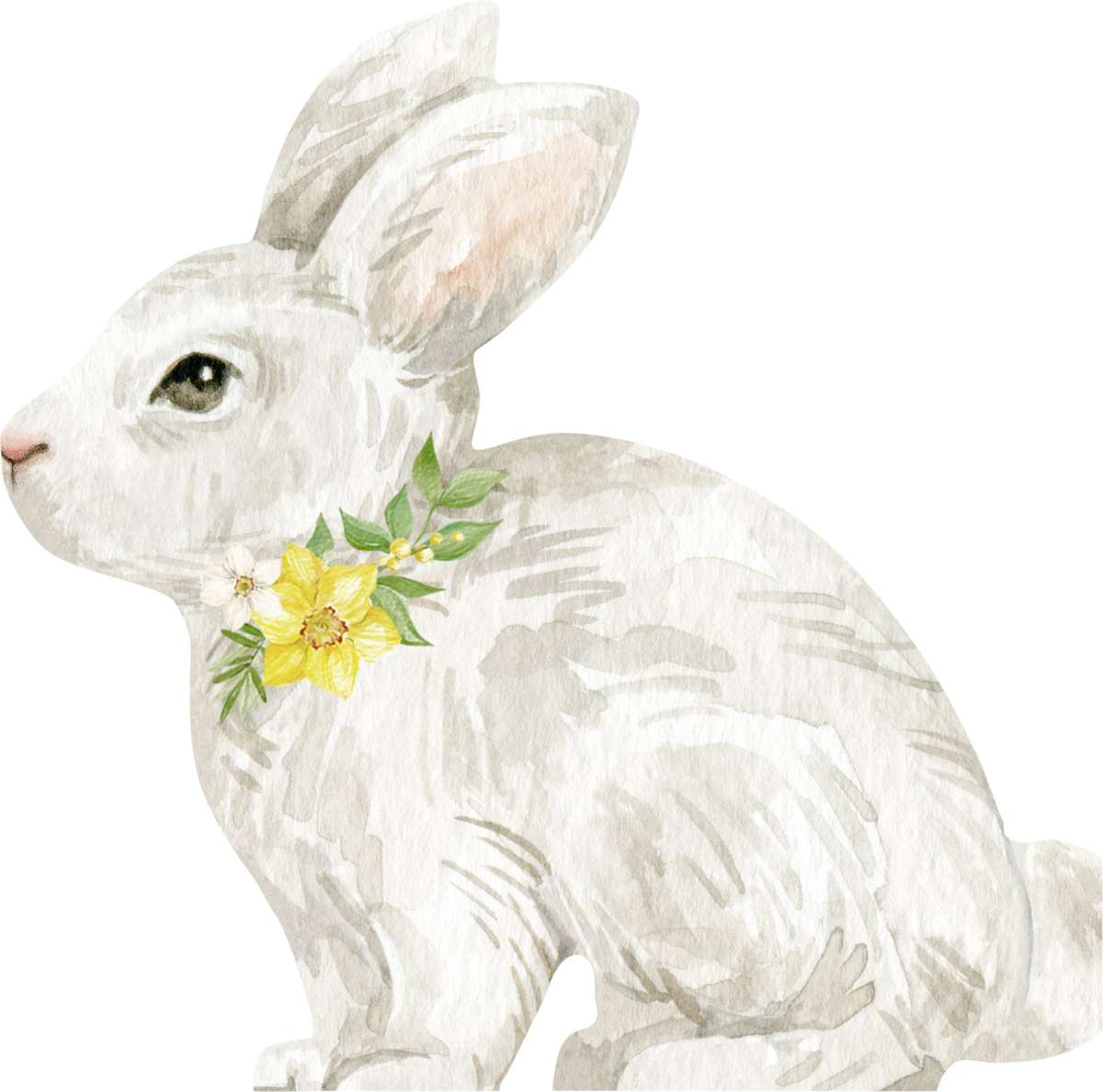 Napkin lunch Bunny