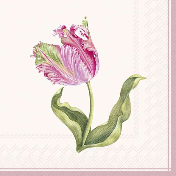 Serviett lunch Driselle Cream