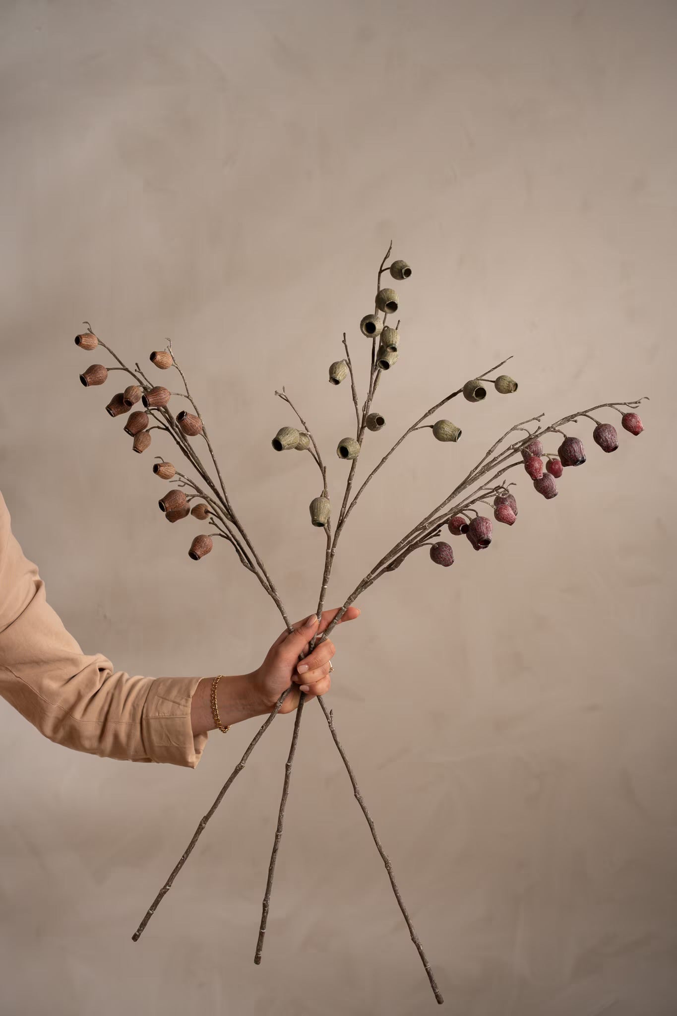 Seed pod brown 60 cm