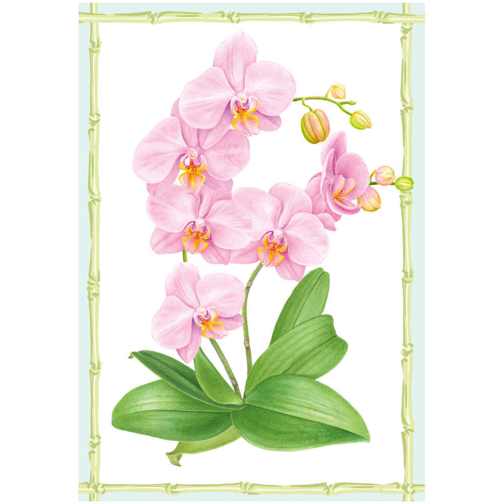 Card w/envelope Pink Orchid