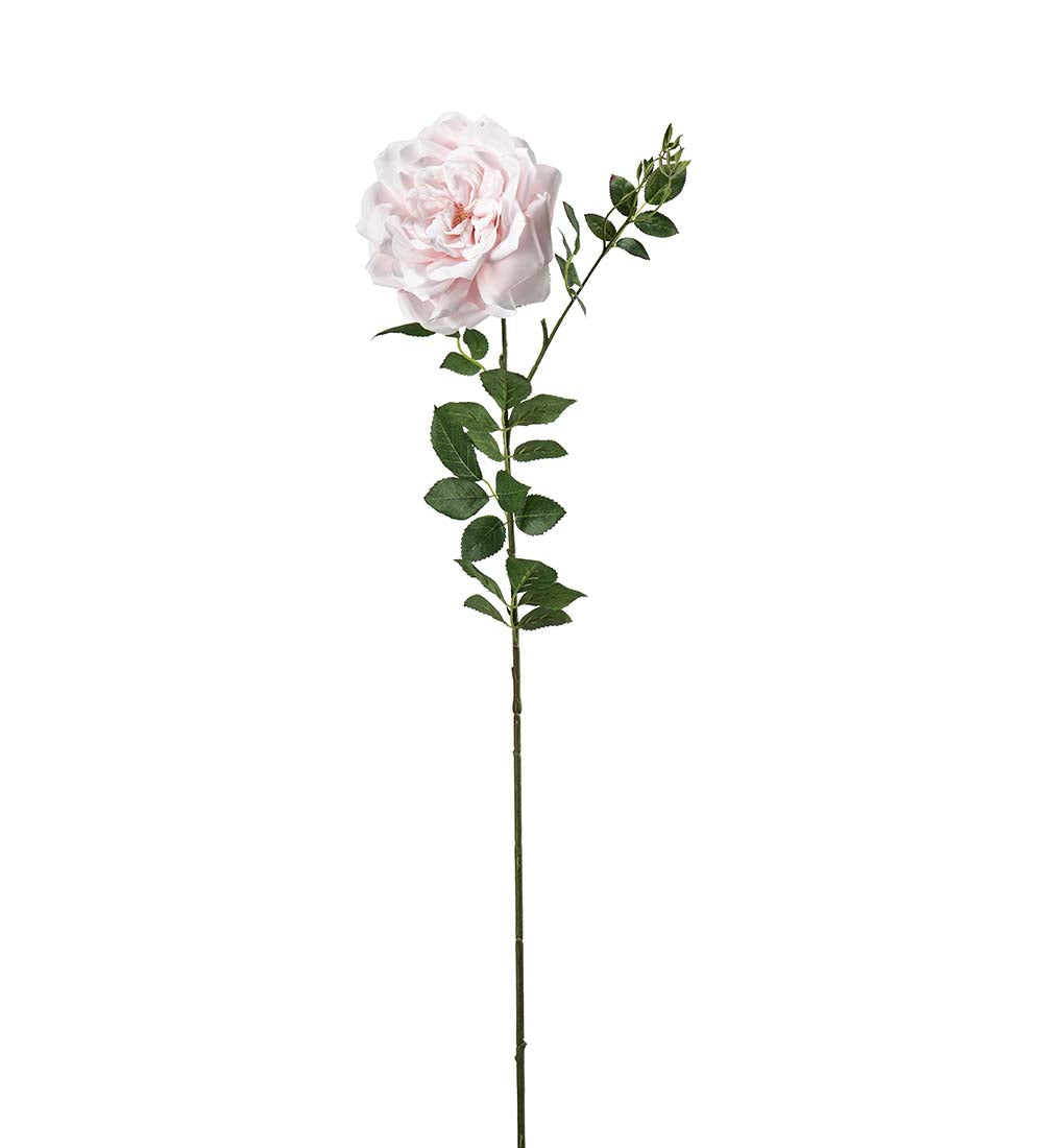Rose rosa 90 cm