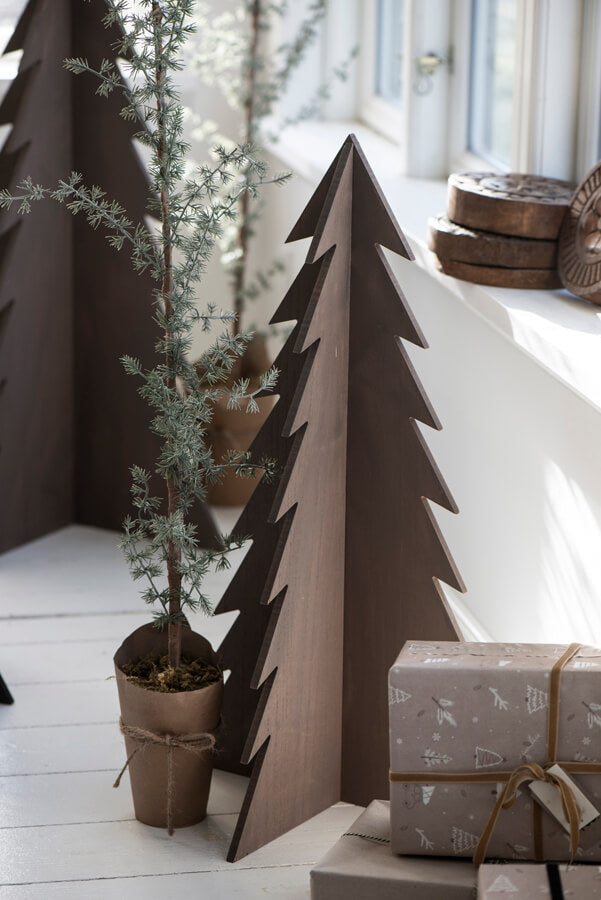 Sedertre i potte 75 cm