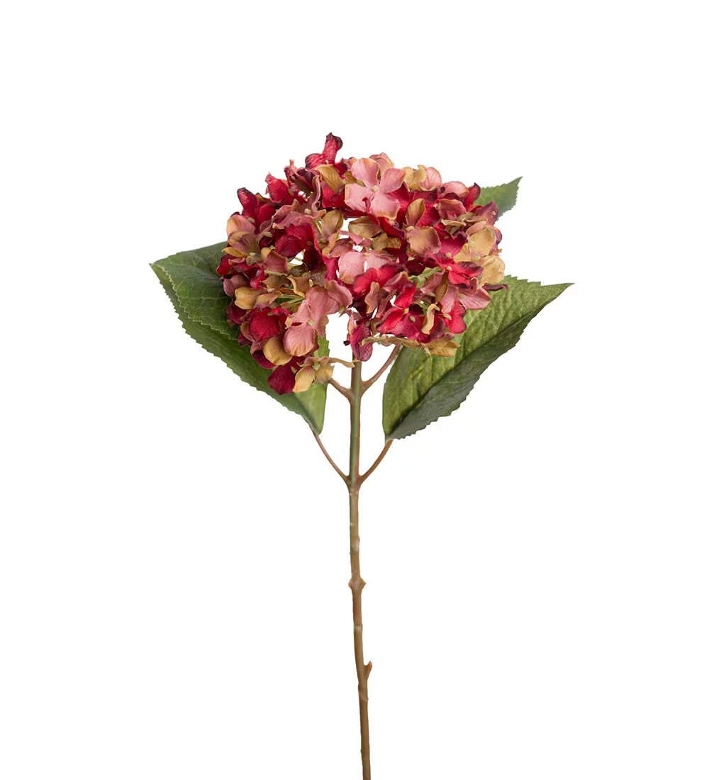 Hydrangea red/pink 40 cm