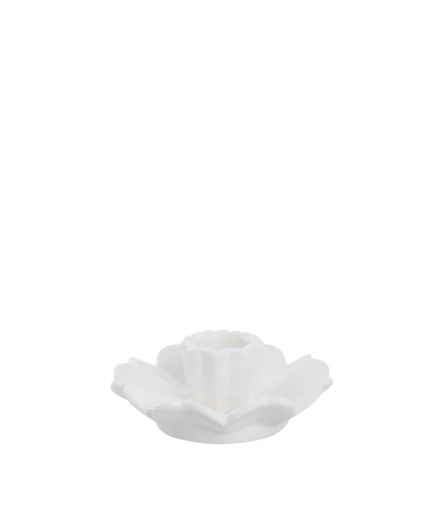 Dehmira lysestake blomst