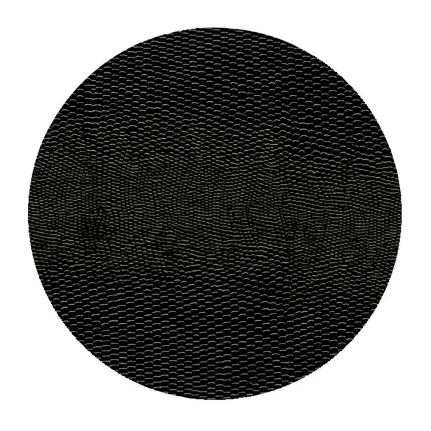 Coaster lizard Black S/8