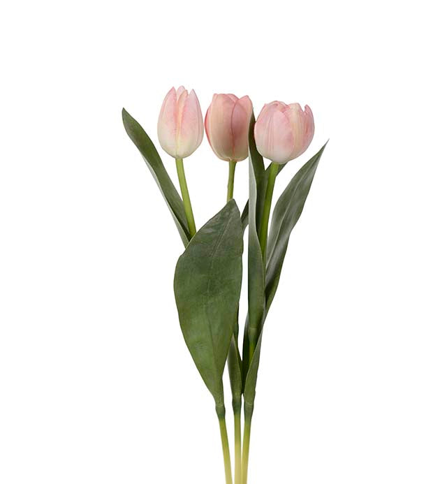 Tulip pink 36 cm