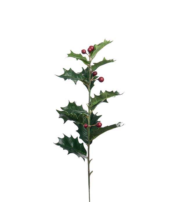 Holly 48 cm