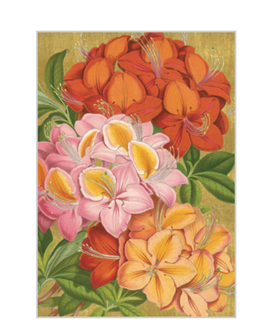 Kort m/konvolutt Jeffersons garden study