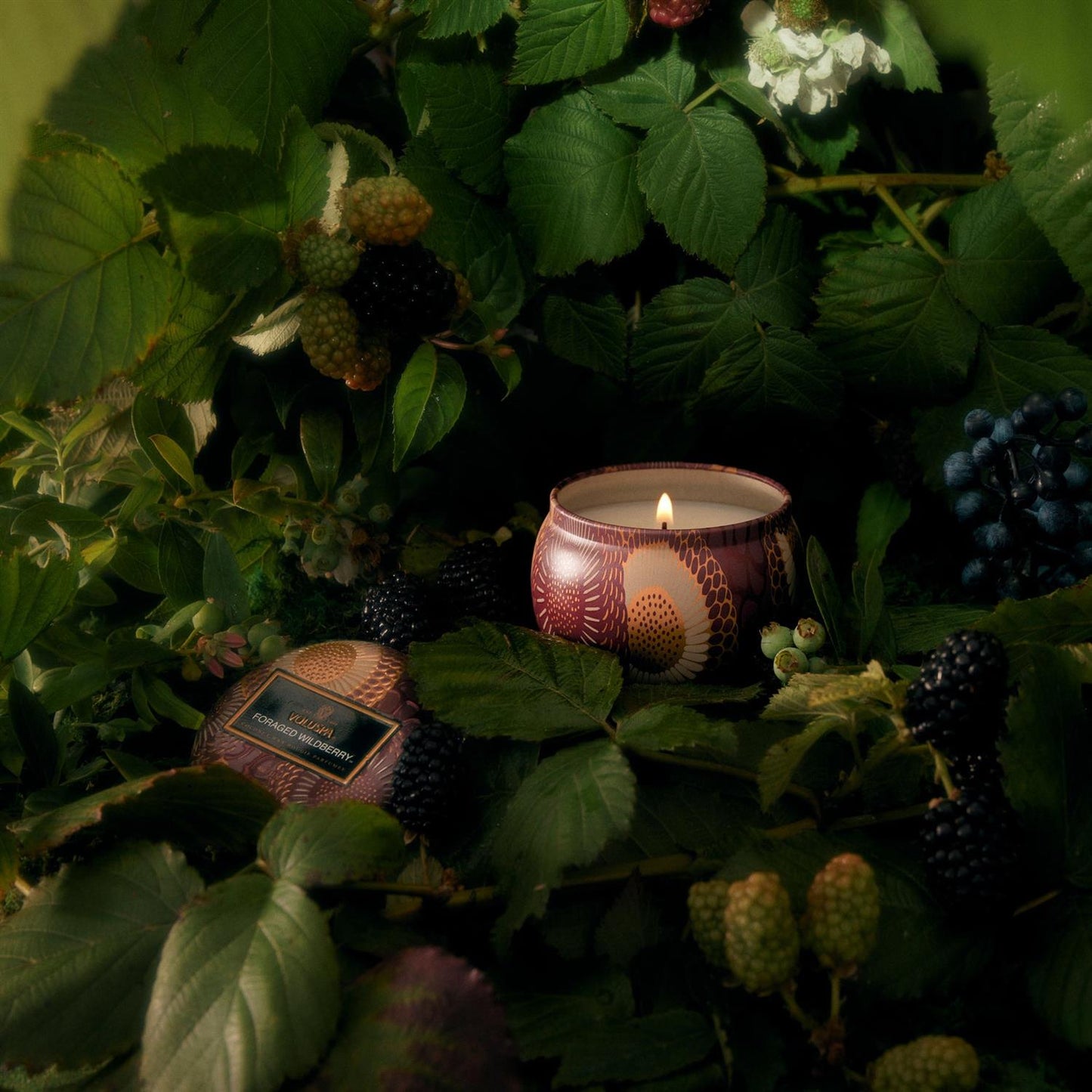 Foraged Wildberry Mini Tin Candle 25 Hours