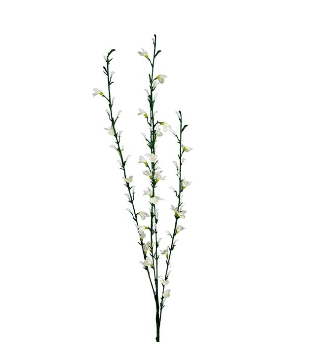 Gyvel hvit 80 cm