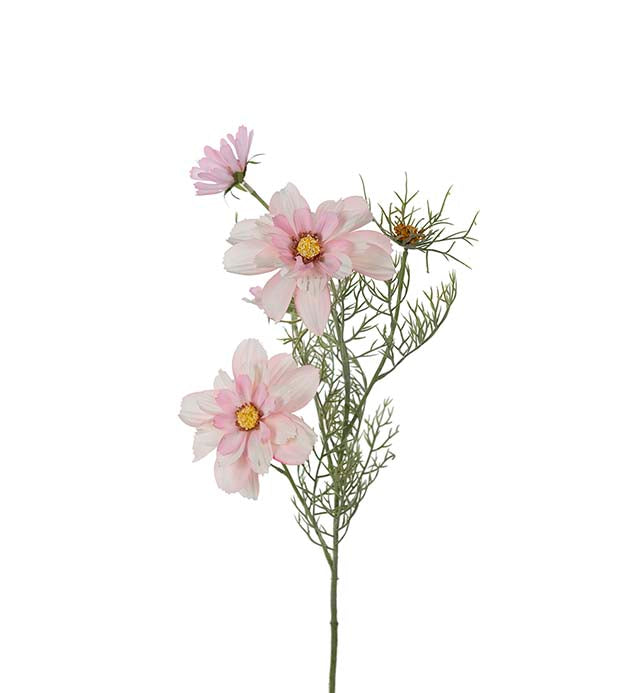 Cosmos rosa 65 cm