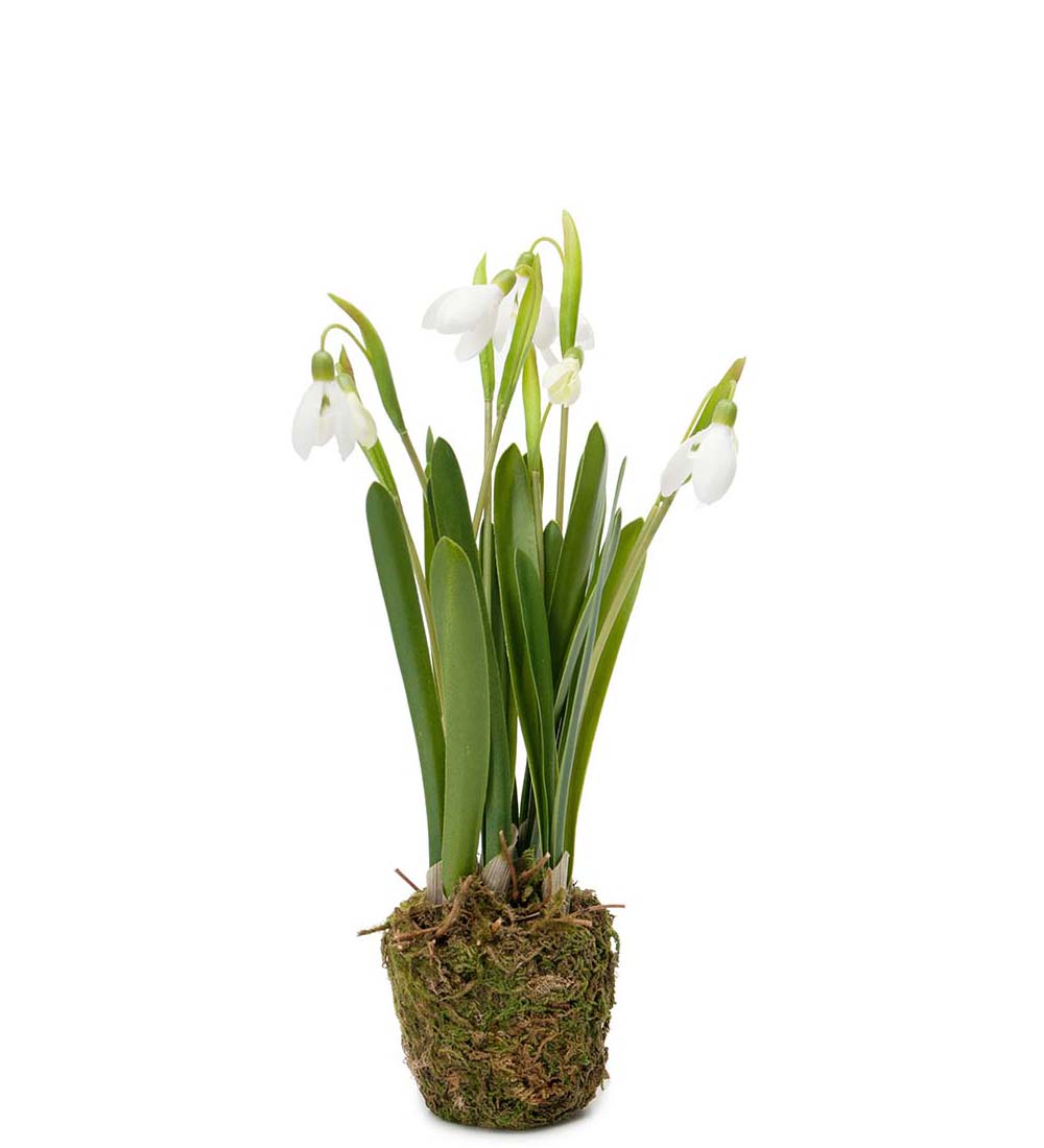 Snøklokke 25 cm