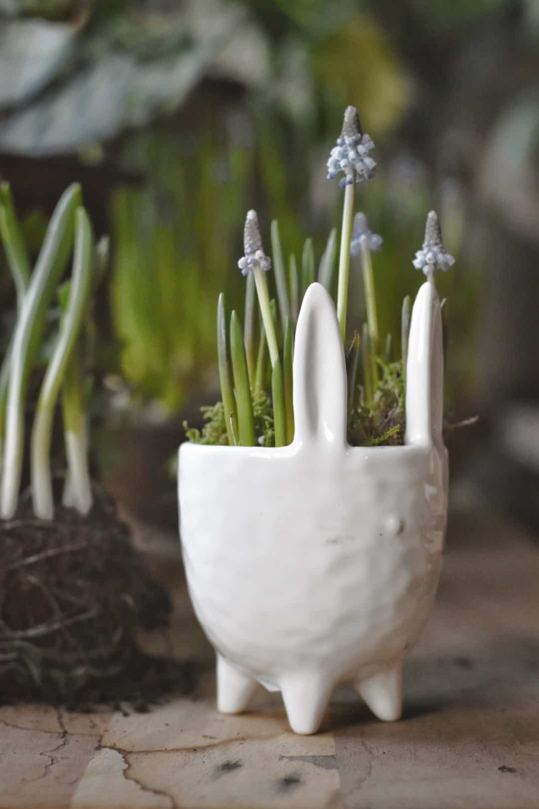 Flower pot rabbit 14 cm