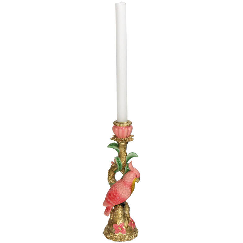 Lysestake rosa papegøye