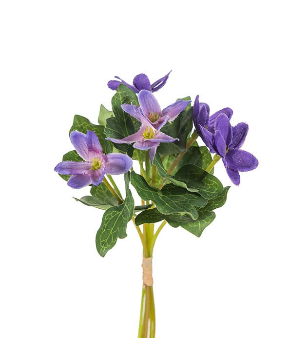 Blåveis bukett 18 cm