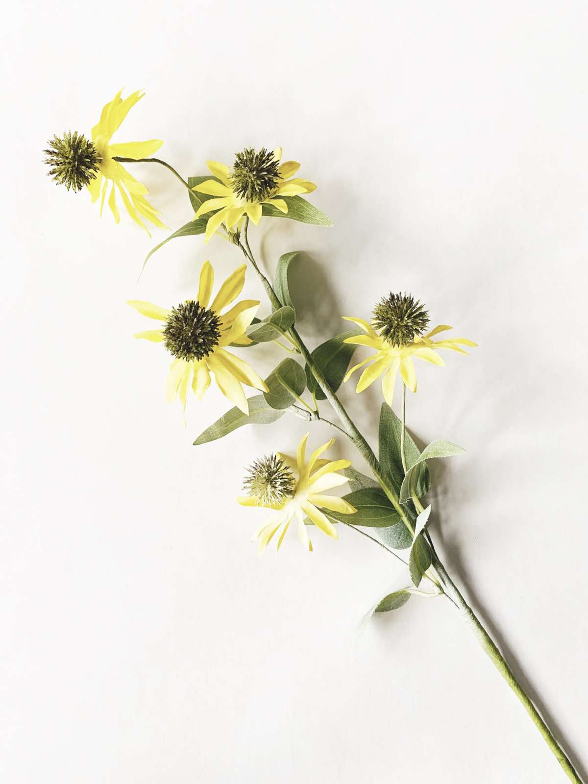 Sommerblomst gul 50 cm