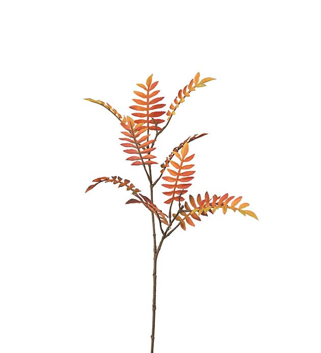 Rowan branch orange 60 cm