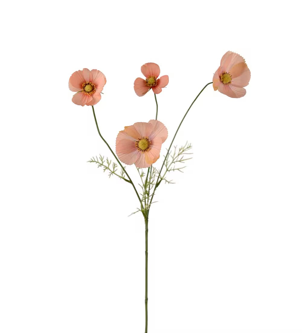 Hanging basket apricot 60 cm