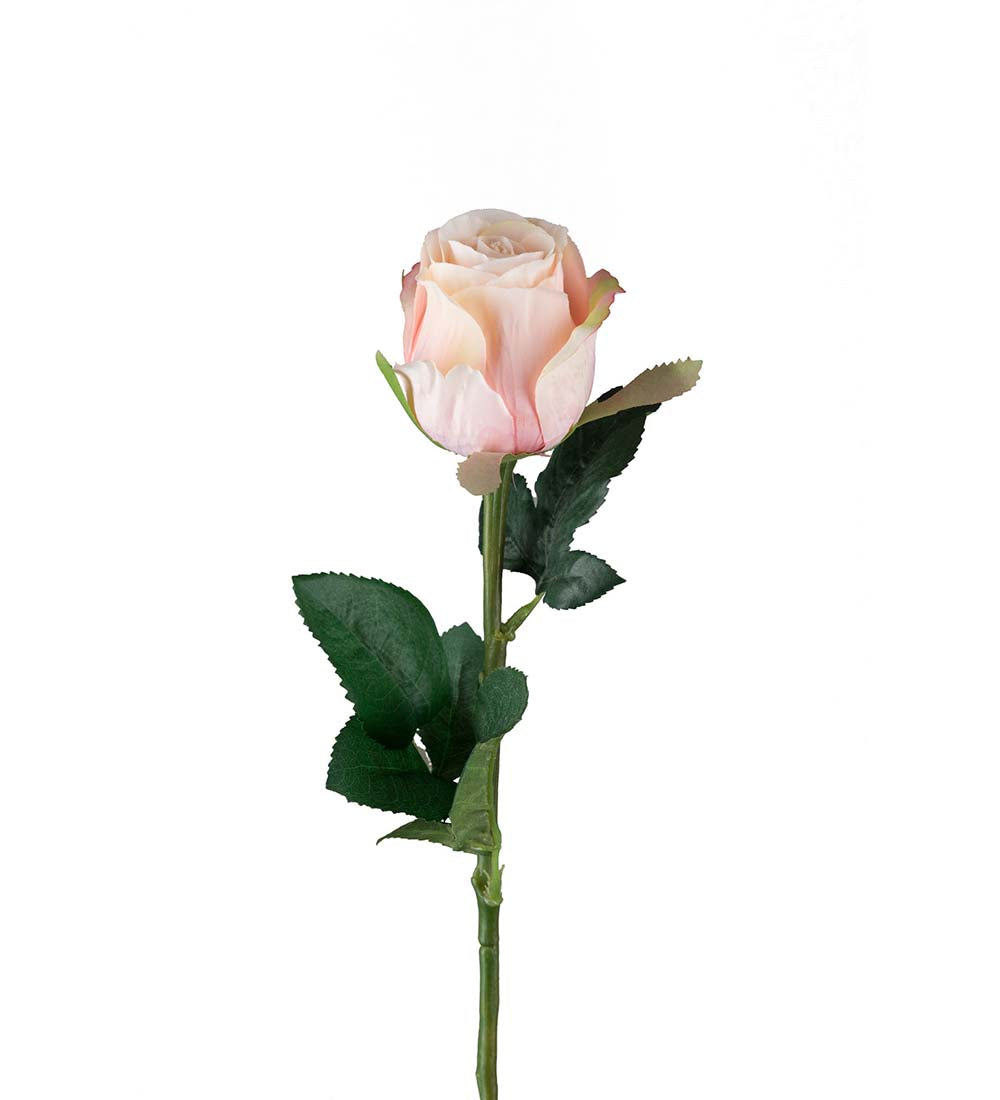 Rose light pink 50 cm