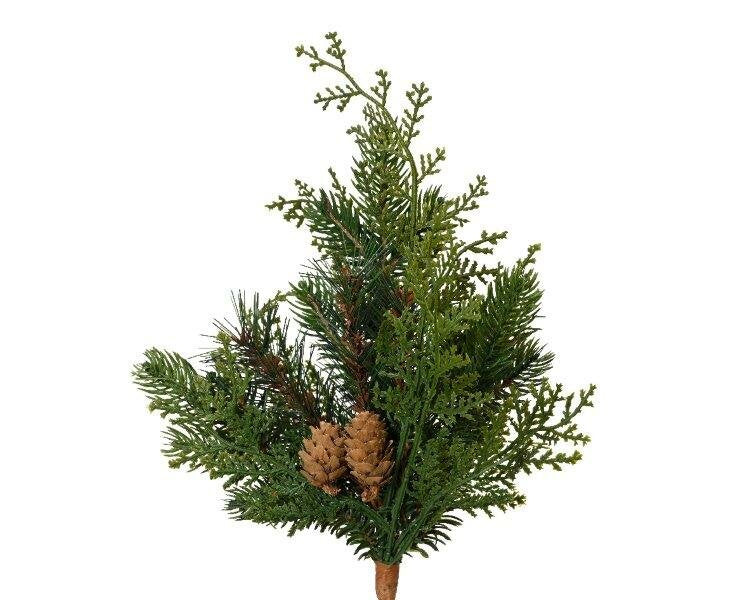 Cypress branch with cones 25 cm