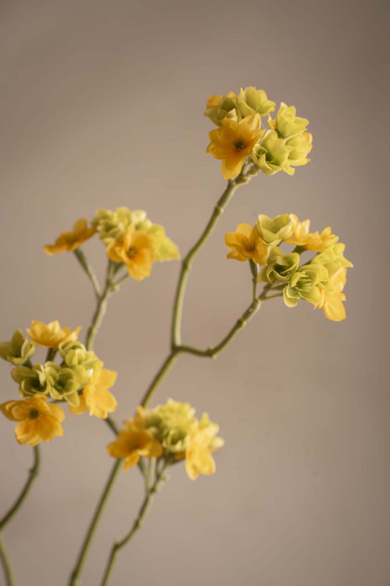 Yellow flower branch 80 cm