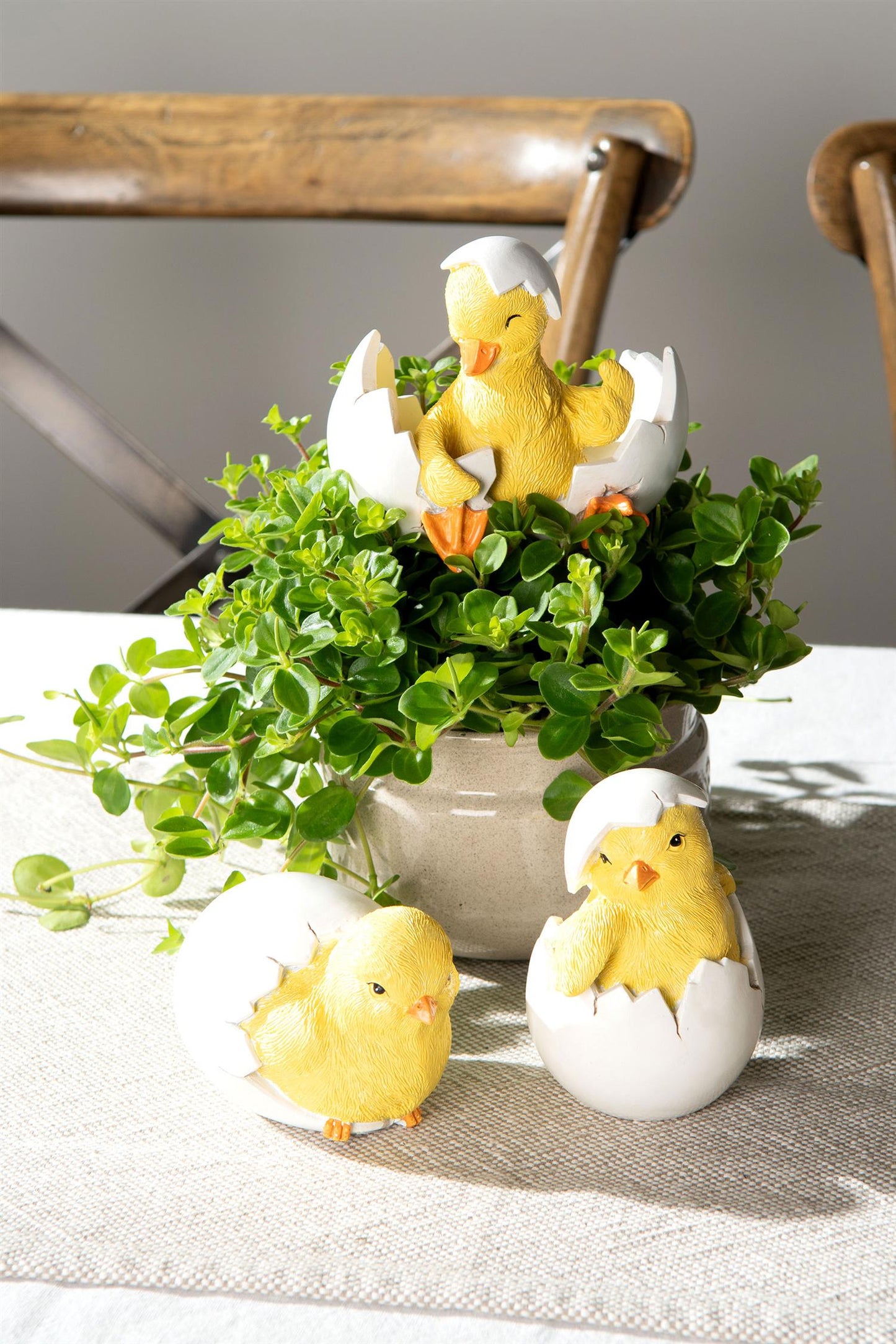 Tittut kylling 10 cm