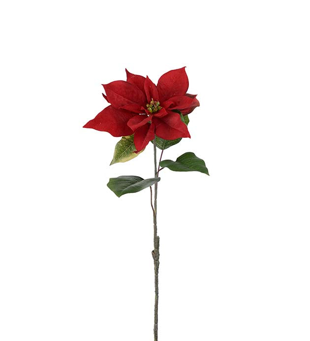 Poinsettia red 50 cm