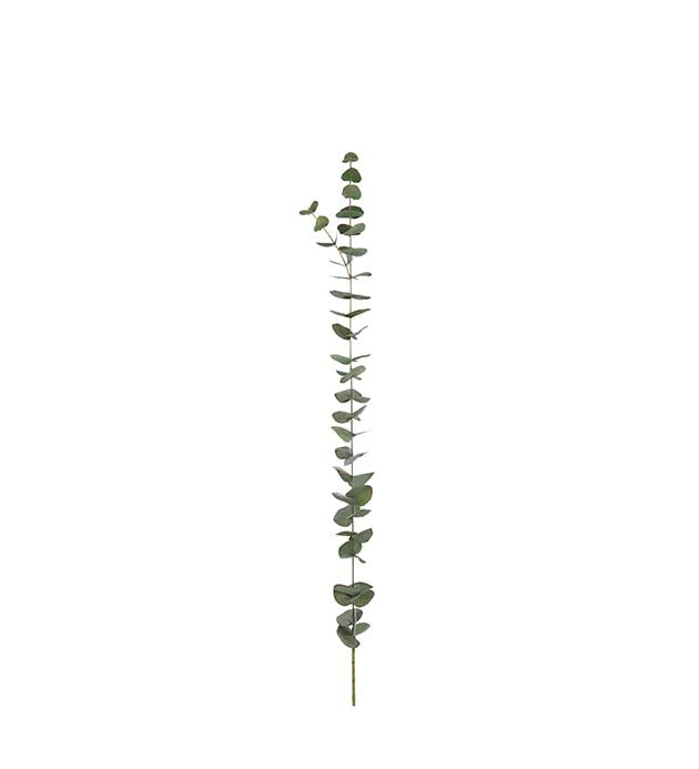 Eucalyptus green 120 cm