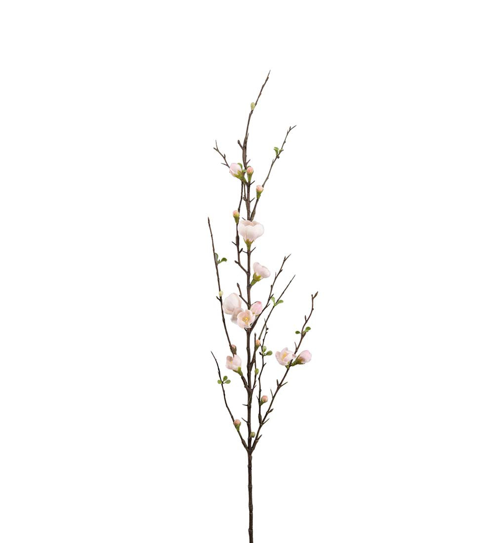 Kvist epleblomst rosa 90 cm