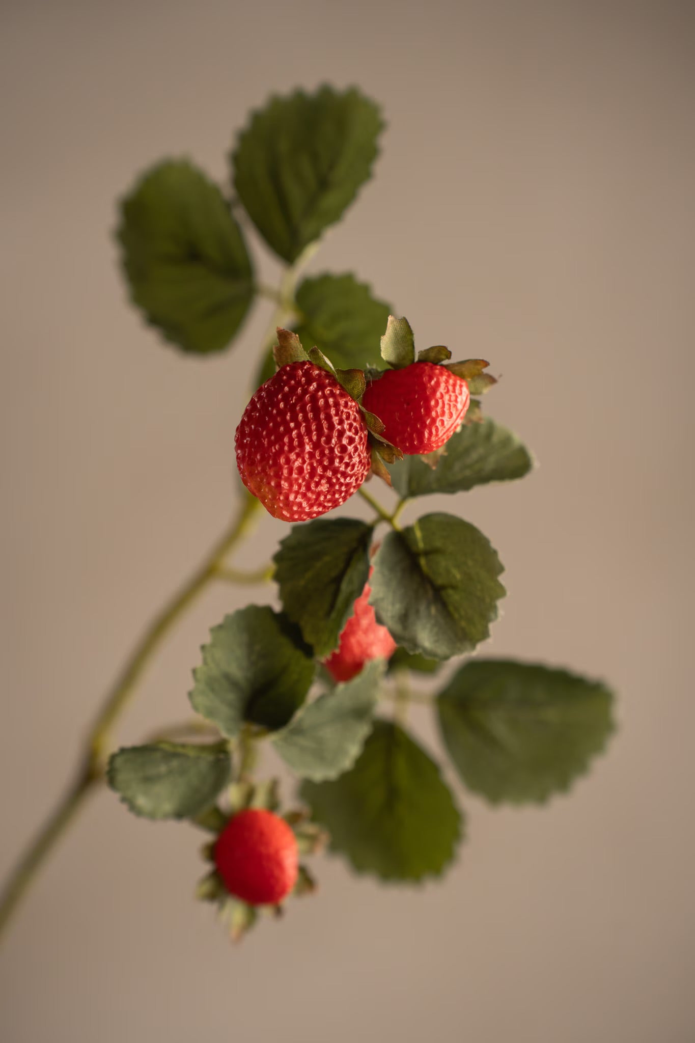 Strawberry sprig 50 cm
