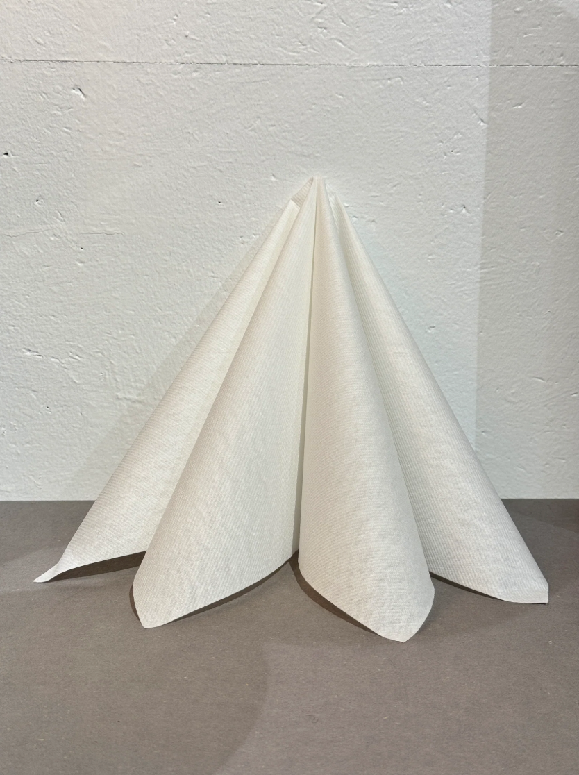 Napkin dinner Textile Touch white