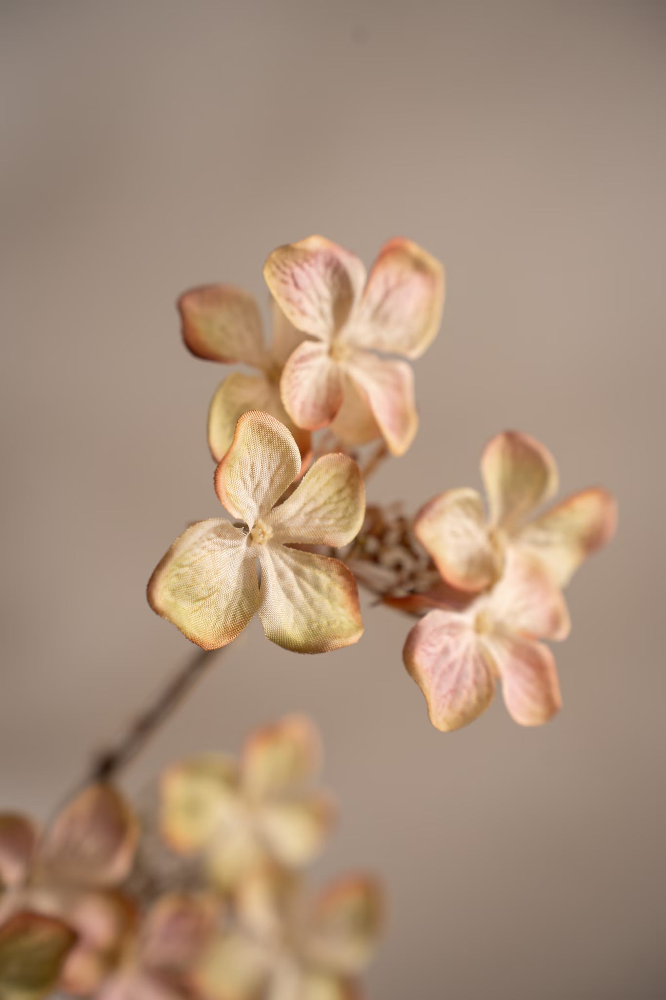 Hydrangea pink 70 cm