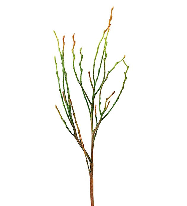 Twig green 35 cm