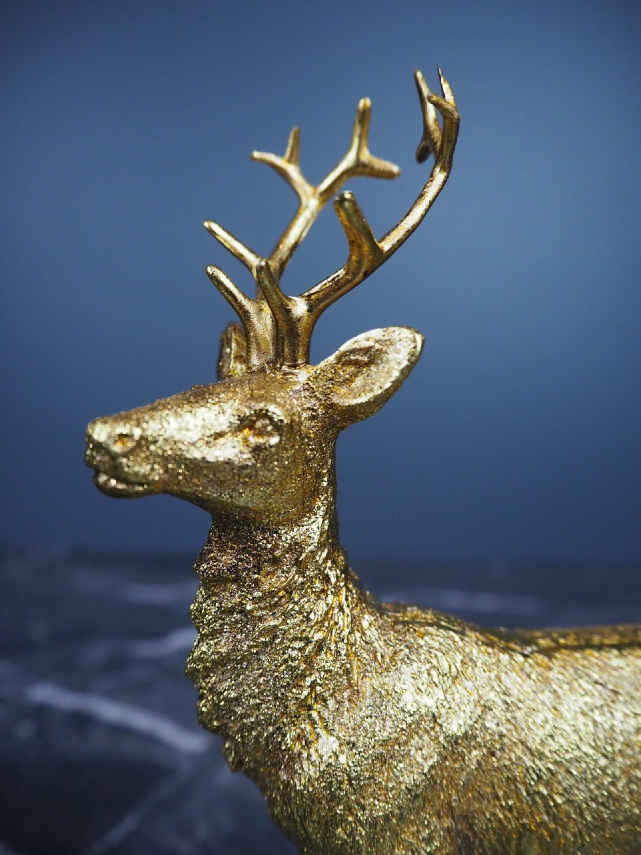 Deer standing 14x19 cm