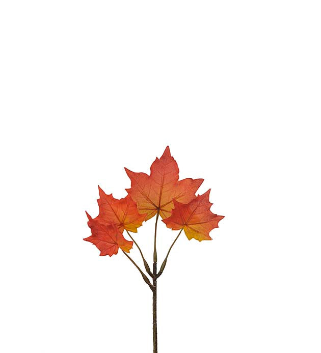 Branch salary 20 cm