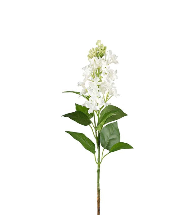Syrin hvit 60 cm