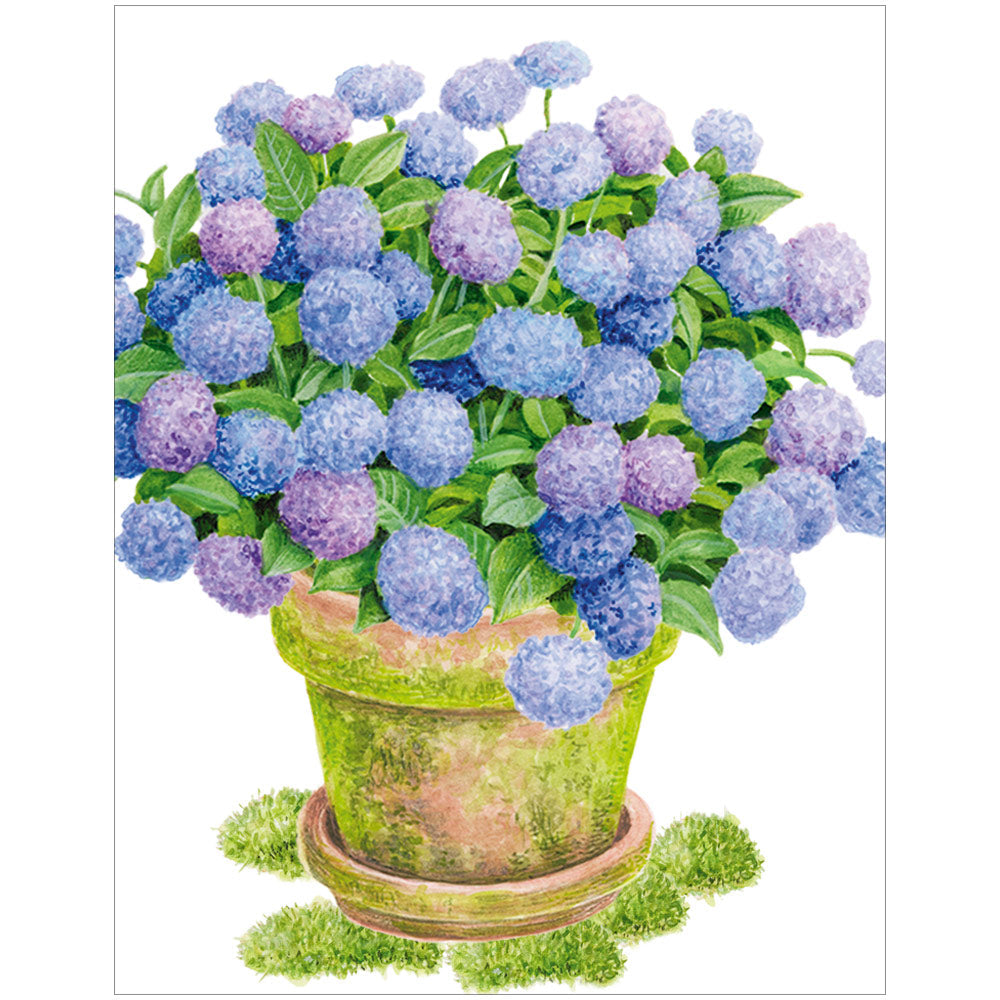 Lite kort Potted Hydrangeas 4 stk