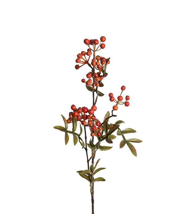 Rowan branch orange 70 cm