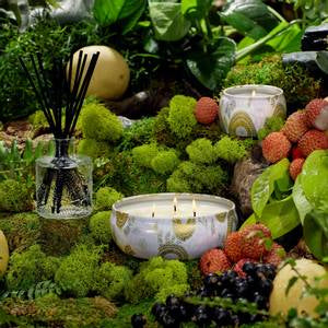Panjore Lychee Mini Tin Candle 25 Timer