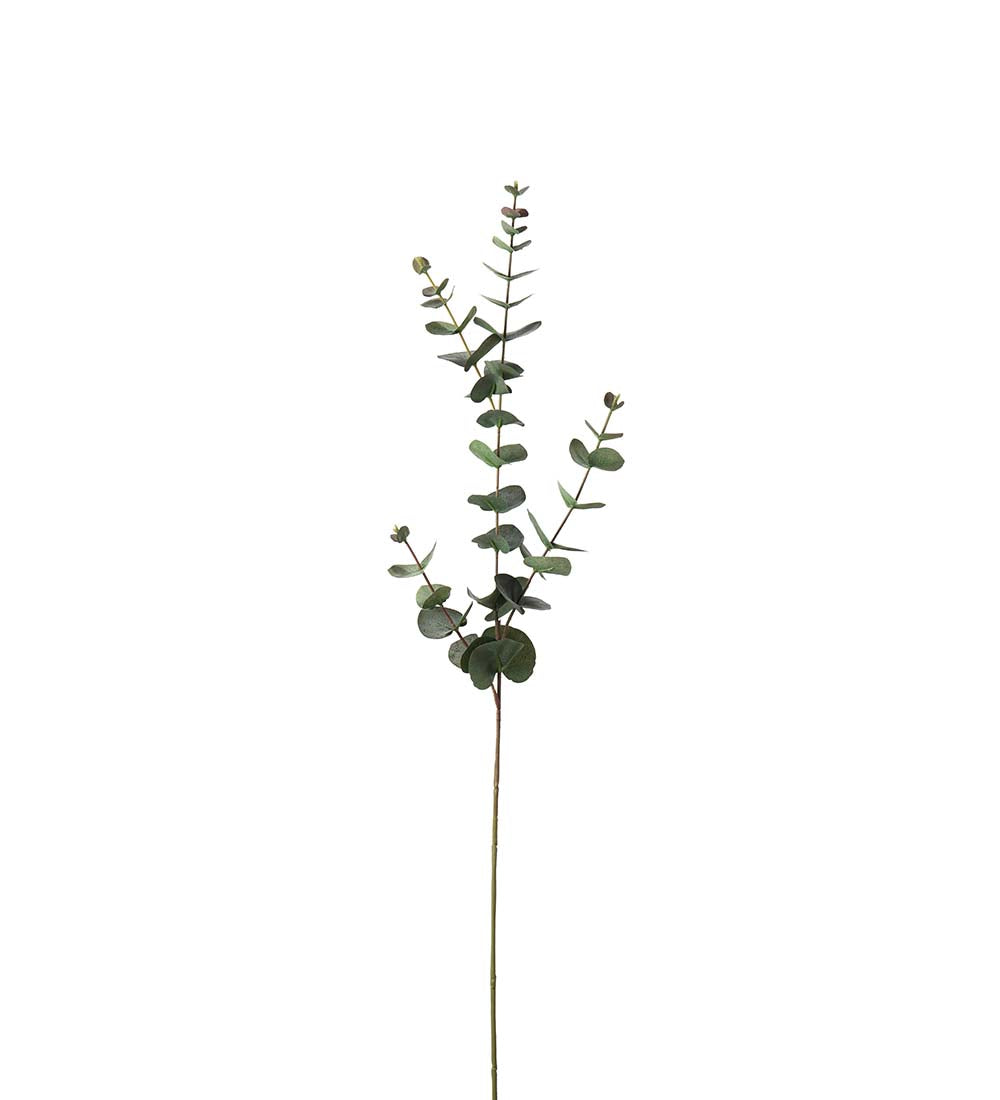 Eucalyptus grå 80 cm