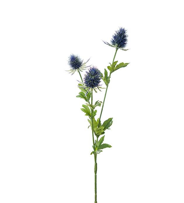 Thistle branch blue 60 cm