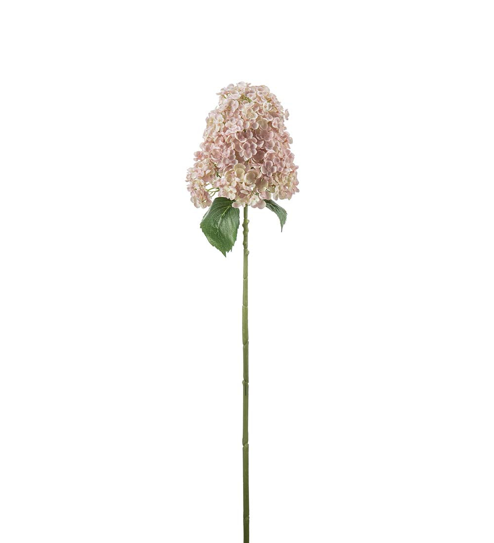 Syrinhortensia rosa 84 cm