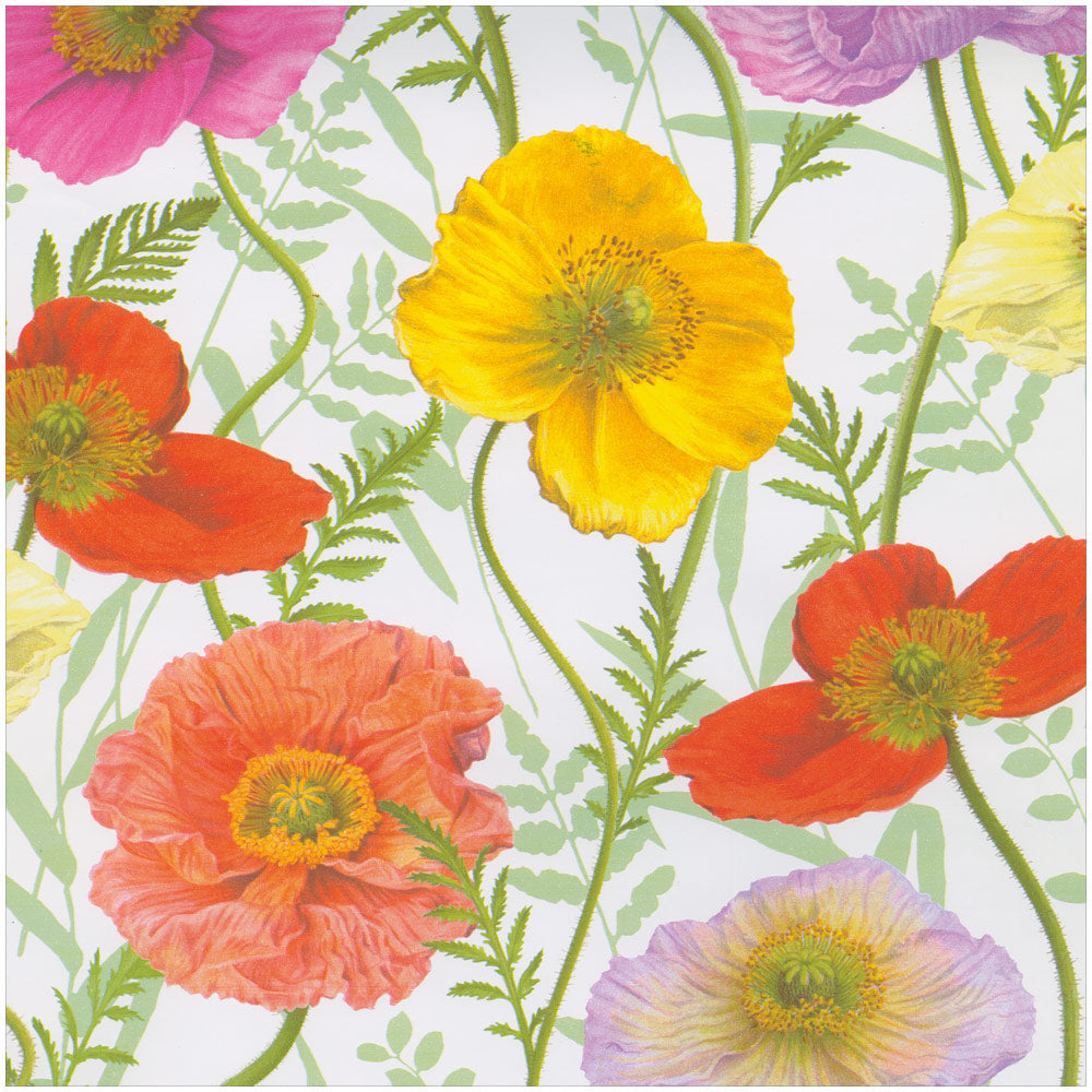 Gavepapir rull Poppy 2,4 meter